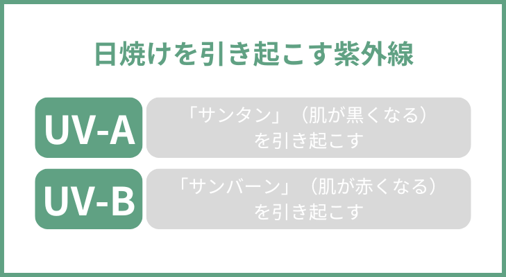 UVAはサンタン、UVBはサンバーンを引き起こす