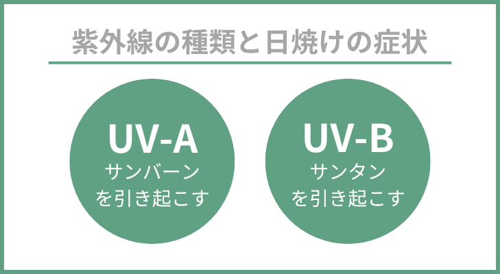 UVAとUVBの違い　イラスト