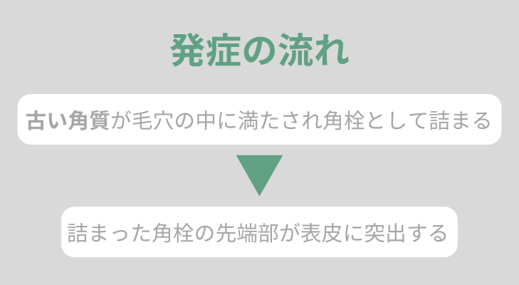 毛孔性角化症の発症の流れ