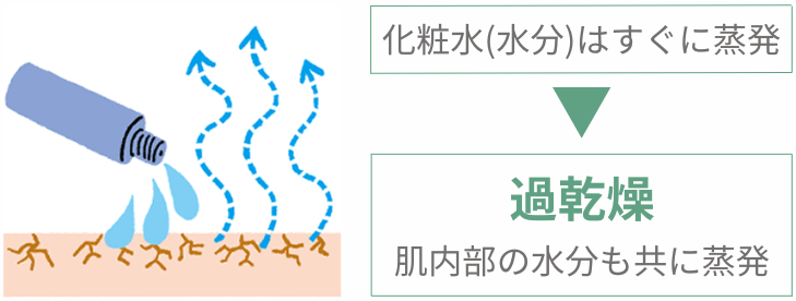 化粧水により過乾燥が進む