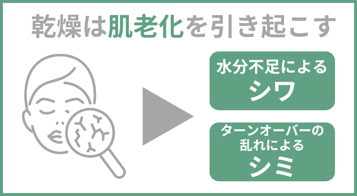 乾燥が引き起こす肌老化