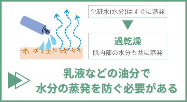 乳液で水分の蒸発を防ぐ