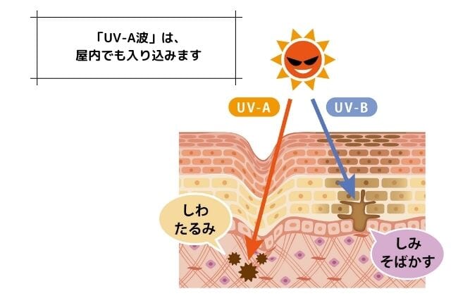 UV-A波とUV-B波